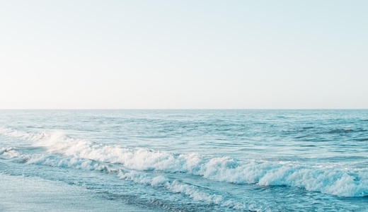 桜の下で心 ときめくお花見会